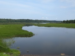 lembolovskoe-ozero-2.jpg