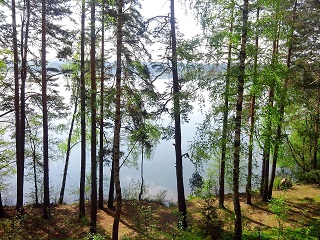 petrovskoe-ozero-1.jpg