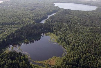 dlinnoe-ozero-vyborgskiy-rayon.jpg