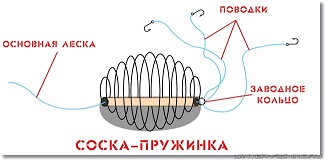 soska-prujina.jpg