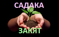 pozhertvovanie-v-islame.jpg