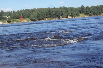 ivanovskie-porogi-neva.jpg