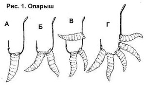 oparysh2.jpg